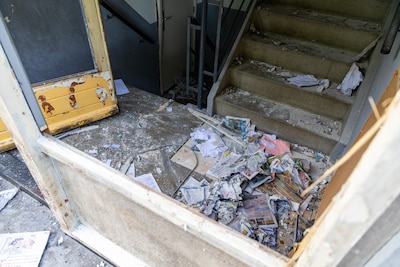 Image related to the article