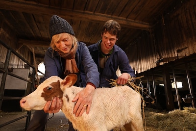 Image related to the article