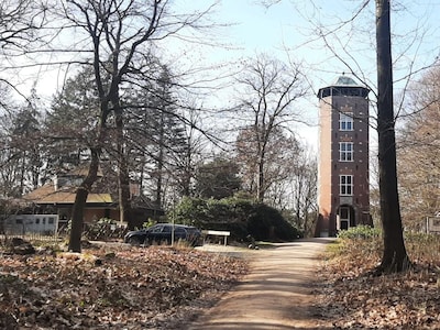 Van bos tot heide: 5 x plekken met een prachtig uitzicht in Ede