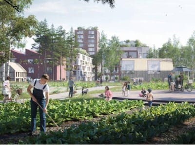 Geen Nieuw Dubbeldam in de polder: projectontwikkelaars vangen bot
