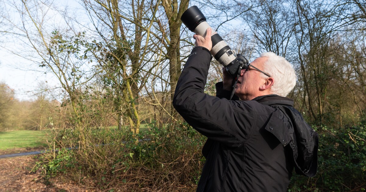 Lezing over verborgen leven van wilde planten in Spijkenisse-Hoogvliet