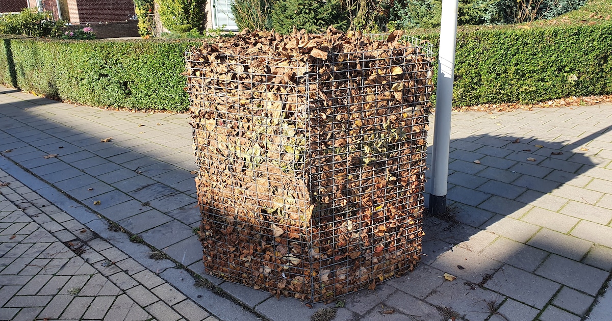 Alphen-Chaam plaatst weer bladkorven in straten met veel bomen