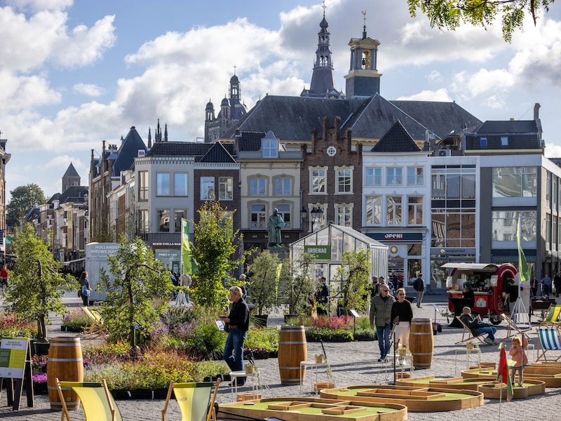Kleurige planten op de Markt inspireren Bosschenaren: ‘Van mij mogen al ...
