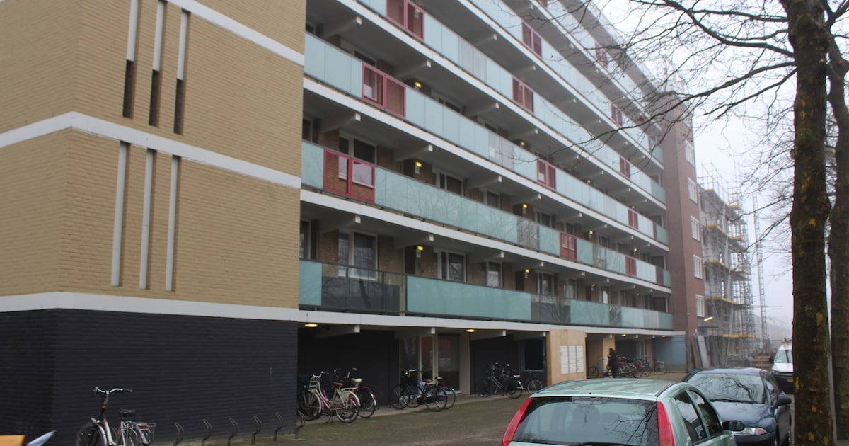 Werkstraf van 100 uur voor oplichtster uit Liendert