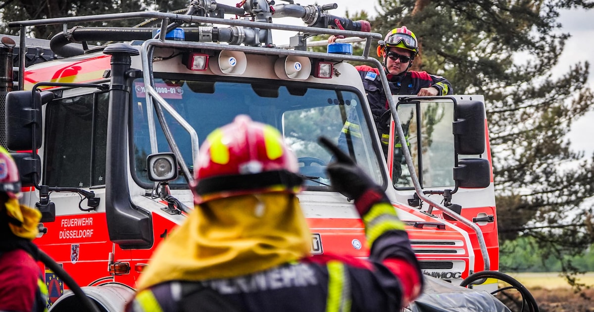 Buitenlandse brandweer schiet te hulp bij nablussen bosbrand tussen Budel en Weert