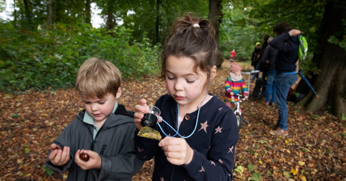 Houtstad IJlst houdt kinderprogramma in herfstvakantie