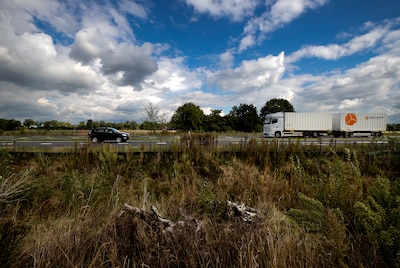 Image related to the article