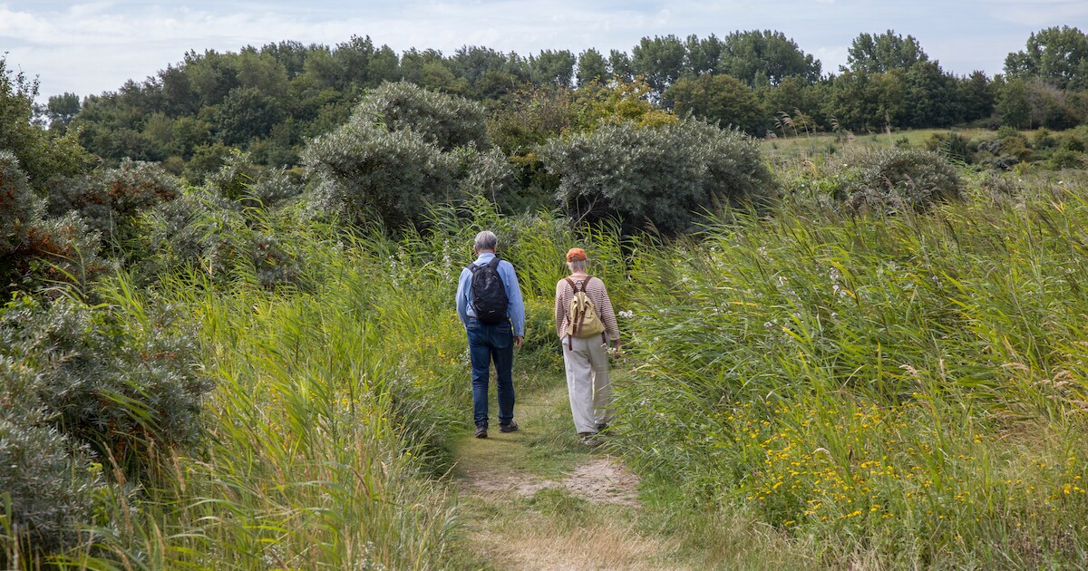 Wandelexcursie in Rolde langs Drentsche Aa