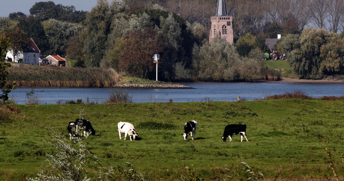 Nieuwe dijkverzwaring op komst, waterschap gaat 11 kilometer van Lekdijk versterken
