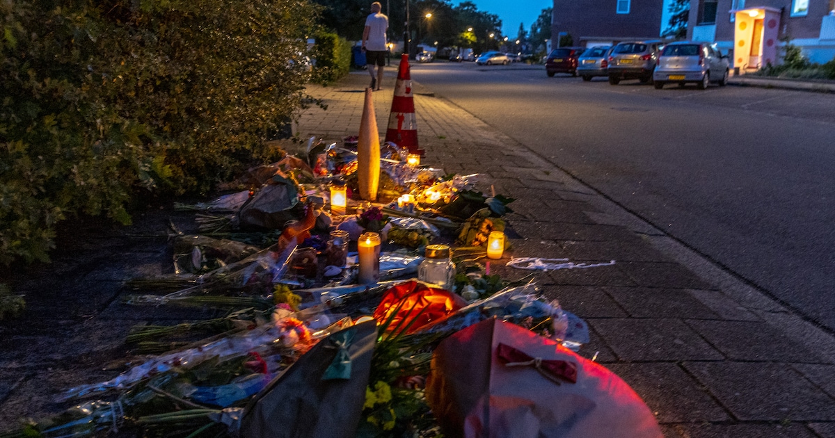 LIVE | Broer bekent moord op Roshin (28) in Apeldoorn • ‘Mama au’, zei haar dochter (3) tegen agente