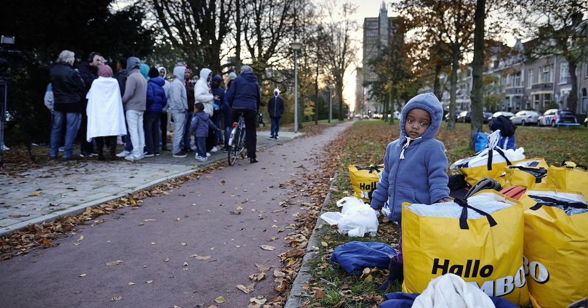 Opvang asielzoekers Delft nu verre van toereikend | Nieuws | AD.nl