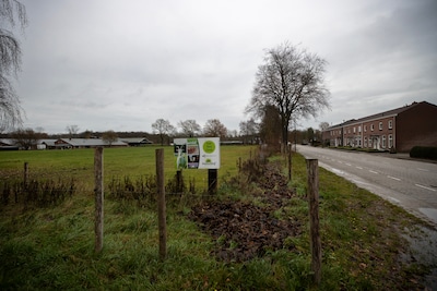 Image related to the article