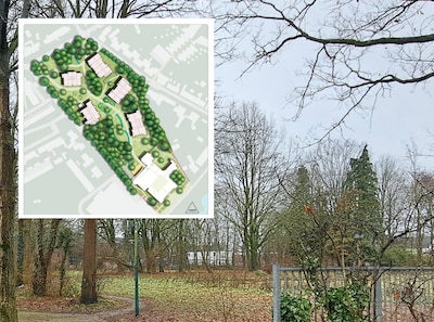 Image related to the article