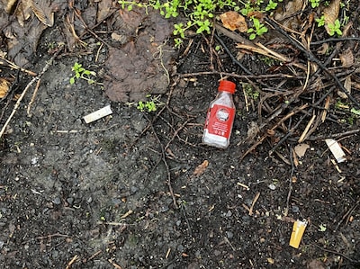 Zwerfafvaltentoonstelling in Oss opent met nieuw kunstwerk van lokale kunstenaars