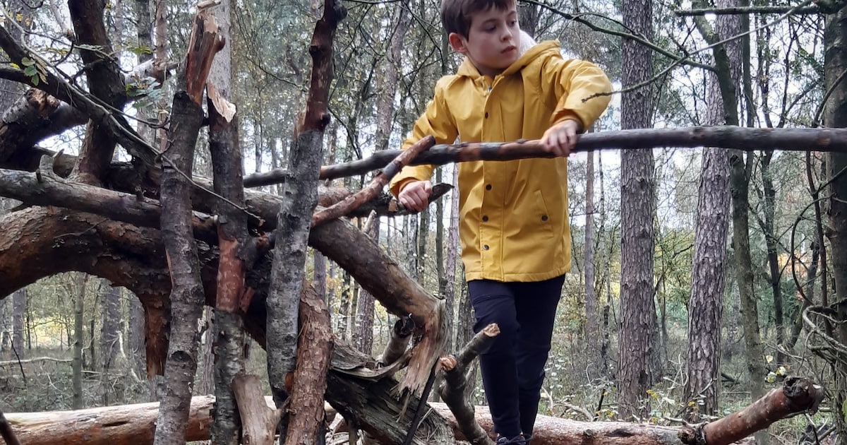 Kinderen kunnen hutten bouwen tijdens herfstvakantie bij Ugchelen