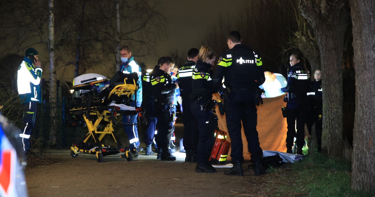 Politie vraagt in Opsporing Verzocht om hulp in de zaak rondom de dood van Gianinni