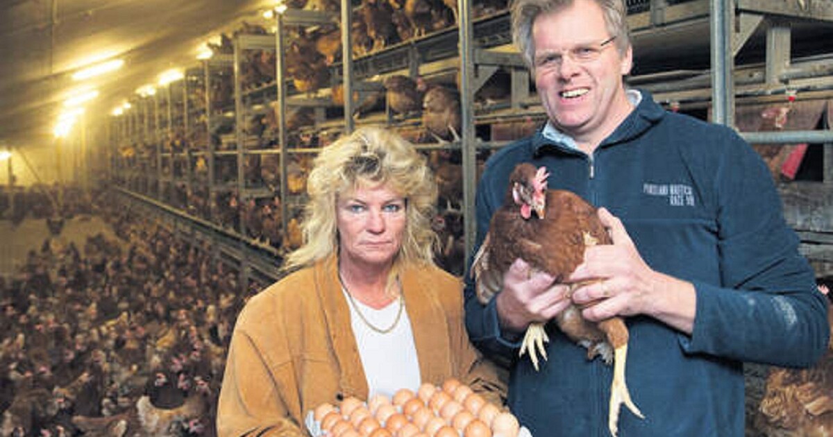 Misère in Hekendorp: Het is vooral erg voor het gezin