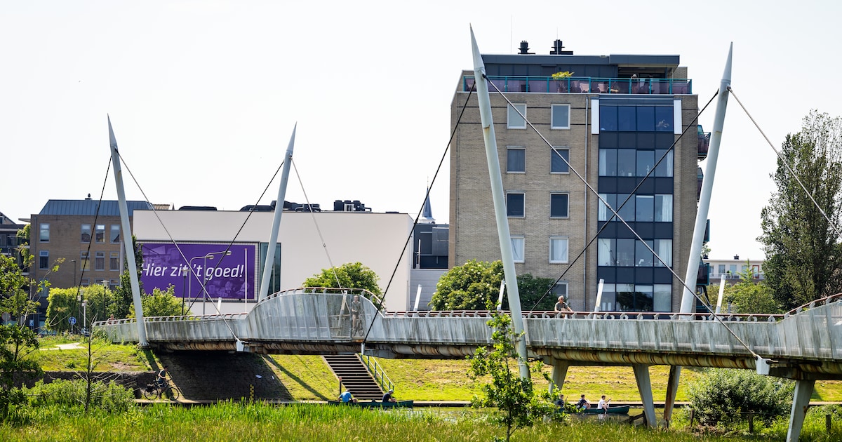 Hardenberg door het stof na onderzoek naar probleembrug: ‘Hadden zakelijker moeten zijn’