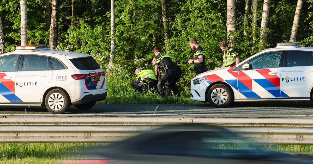 Bestuurder aangehouden na ongeval met taxibus in sloot langs A1 bij Hengelo