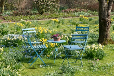 Open Voorjaarsdagen op De Boschhoeve in Wolfheze