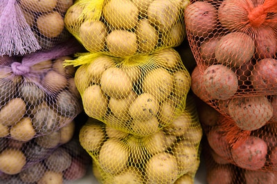 Image related to the article