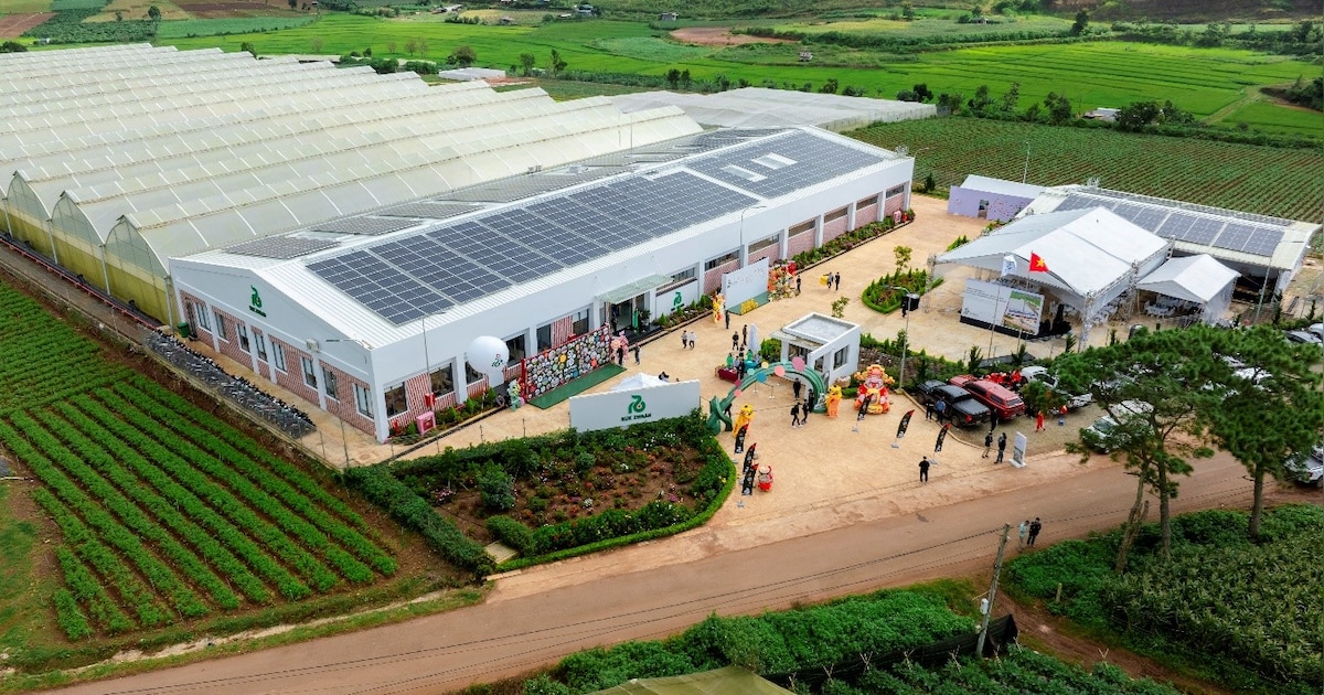 Omzet Rijk Zwaan groeit weer flink, winst komt uit op 68 miljoen euro