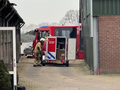 Na stalbrand vorige week nu koe in put bij melkveebedrijf in Markelo