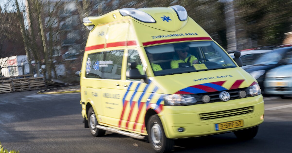 Bestelbus ramt stilstaande politieauto op N31 bij Nijega: bestuurder en agent gewond