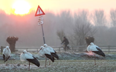 Zon breekt in de loop van maandag door, in de nacht kans op eerste vorst