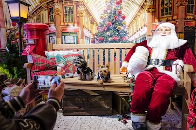 In Oss gaan honden in Tommy Hilfiger trui op de foto met de kerstman: ‘Hebben hier vorig jaar onze t