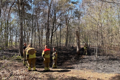 Image related to the article