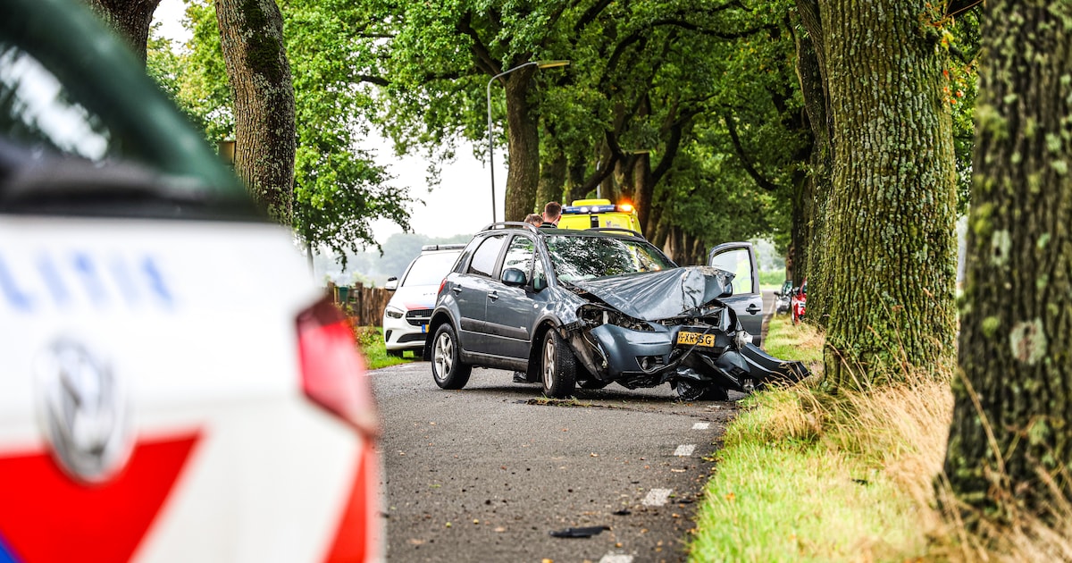 Automobilist gewond na botsing tegen boom langs De Wheem in Zweeloo