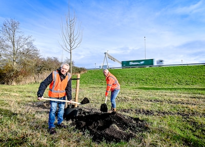 In twee jaar tijd voor zo’n 28 voetbalvelden aan groen erbij langs de snelwegen