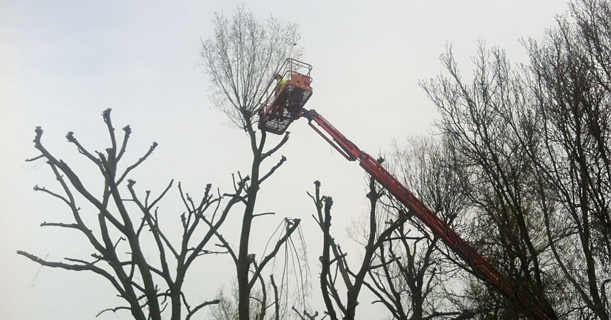 Snoeiwerkzaamheden in Son en Breugel gestart