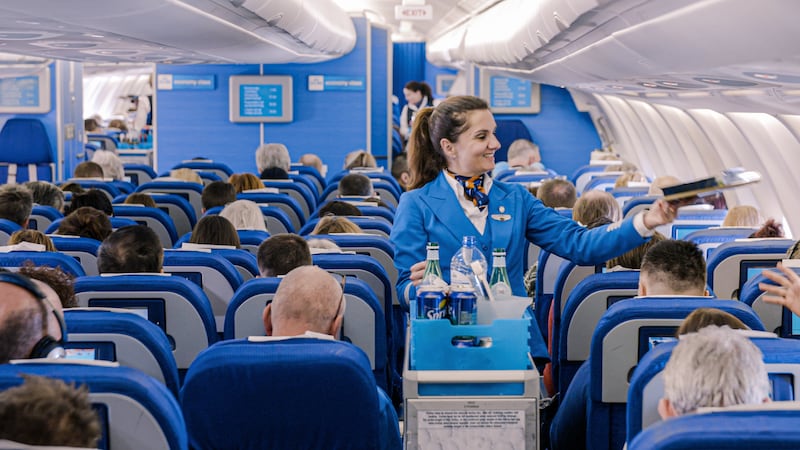 Cabinepersoneel serveert maaltijden in een KLM-vliegtuig.