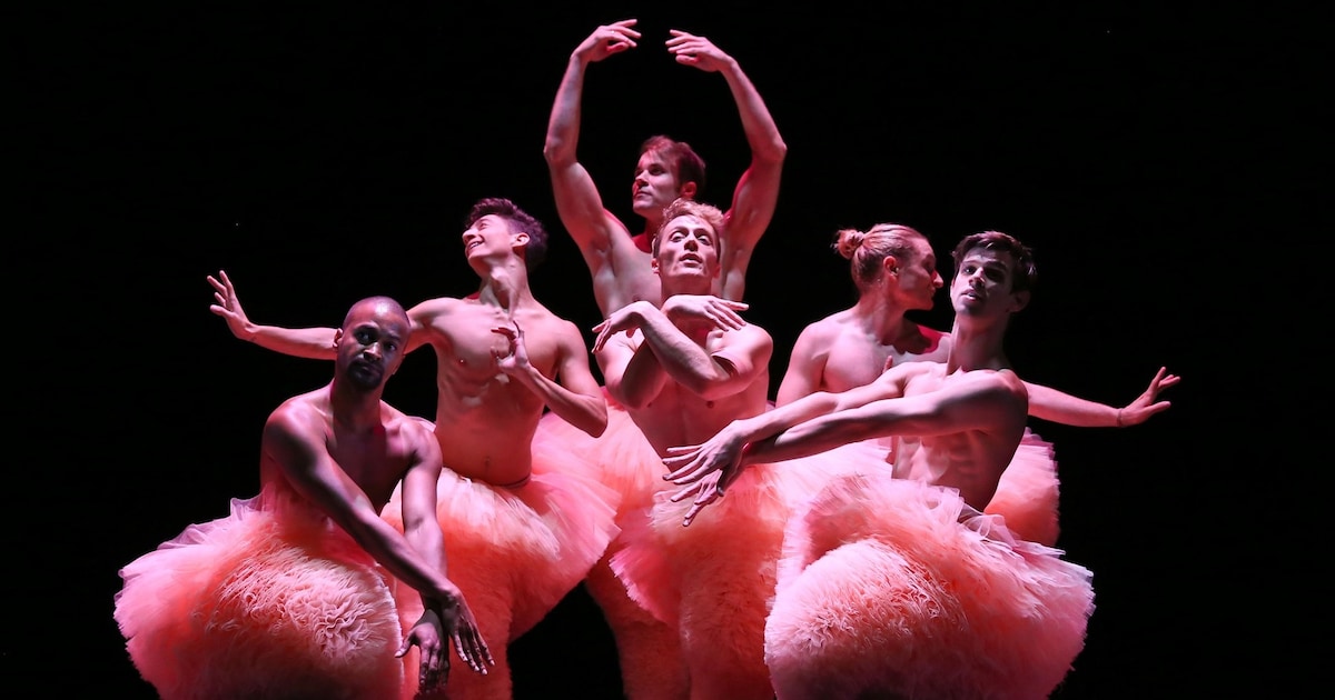 Chicos Mambo brengt humoristische dansvoorstelling Tutu naar Isala Theater in Capelle