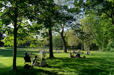 Bezorgdheid in Utrechtse wijk Oog in Al om ‘grimmige sfeer’ door wietrokende groep mannen in park