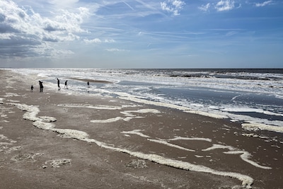 KNMI: Noordzee was niet eerder zo warm