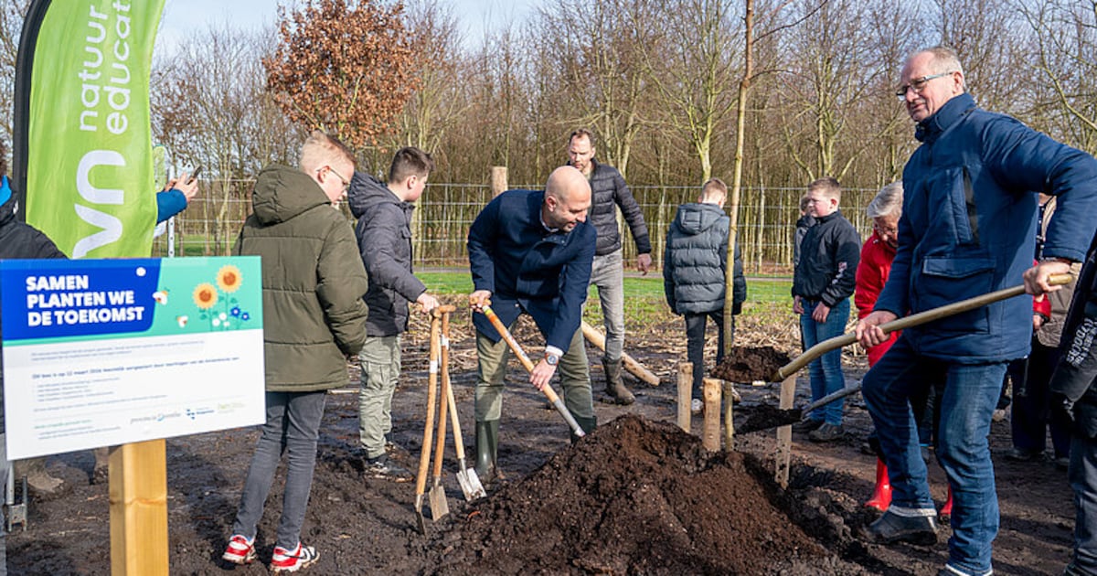 Leerlingen planten eerste bomen voor nieuw bos bij Hollandscheveld