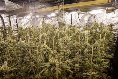 Image related to the article