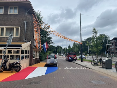 Amsterdam turns orange: World Cup fever hits these front gardens