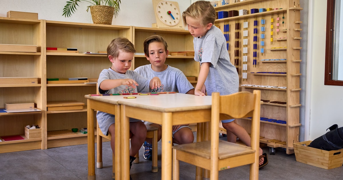 Enige Montessori school in Lansingerland dreigt te verdwijnen: ‘School niet levensvatbaar’