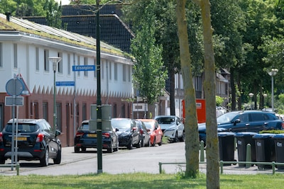 Image related to the article