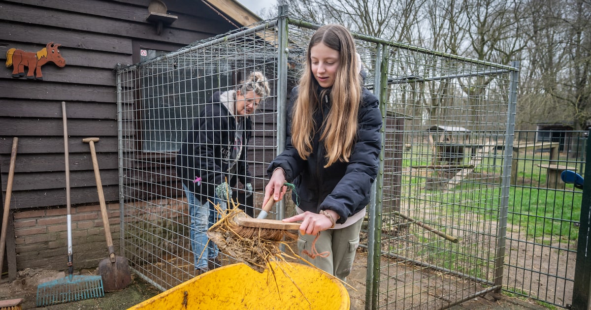 'Bergen werk verzetten' tijdens NLdoet op Gennepse kinderboerderij