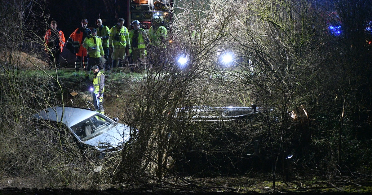 Twee wagens belanden in gracht bij ongeval op A12 in Hoevenen: één gewonde