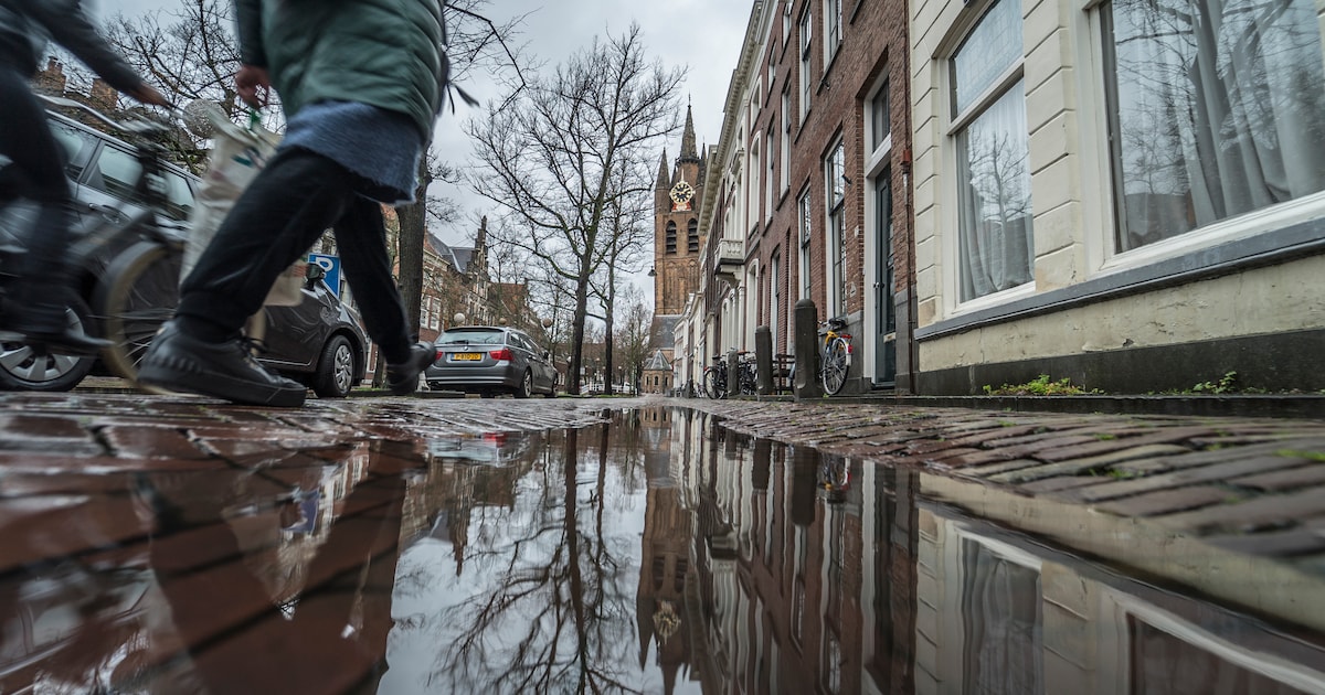 Wateroverlast loopt in Delft de spuigaten uit: wat kun je zelf doen om ...