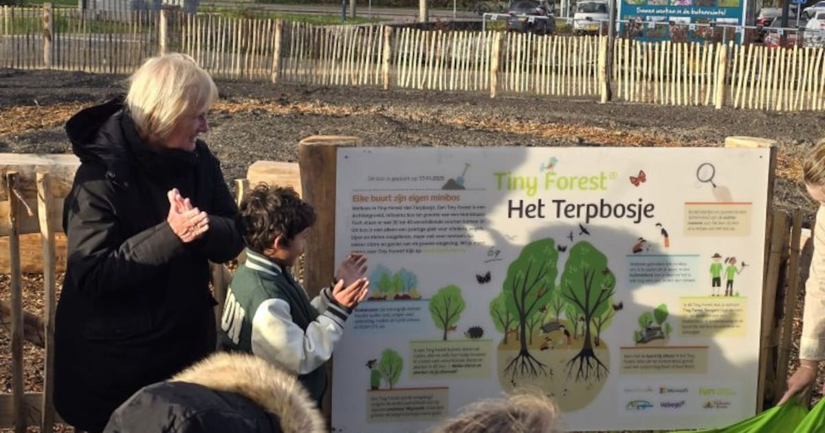 Tiny Forest geplant bij kindcentrum in Wieringerwerf