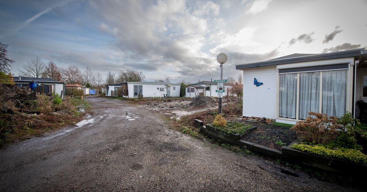 apeldoorn-dwingt-iedereen-van-camping-af-maar-huurt-er-zelf-chalet-voor