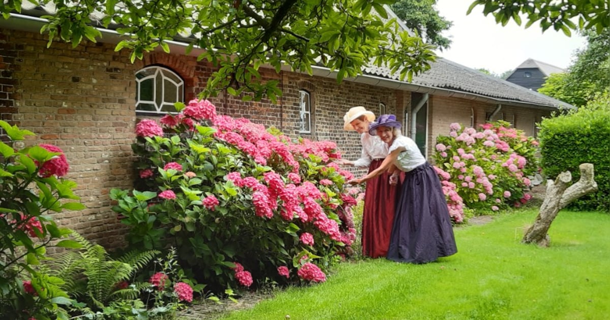 Theeparty in tuin Museum Hoeksche Waard in Heinenoord