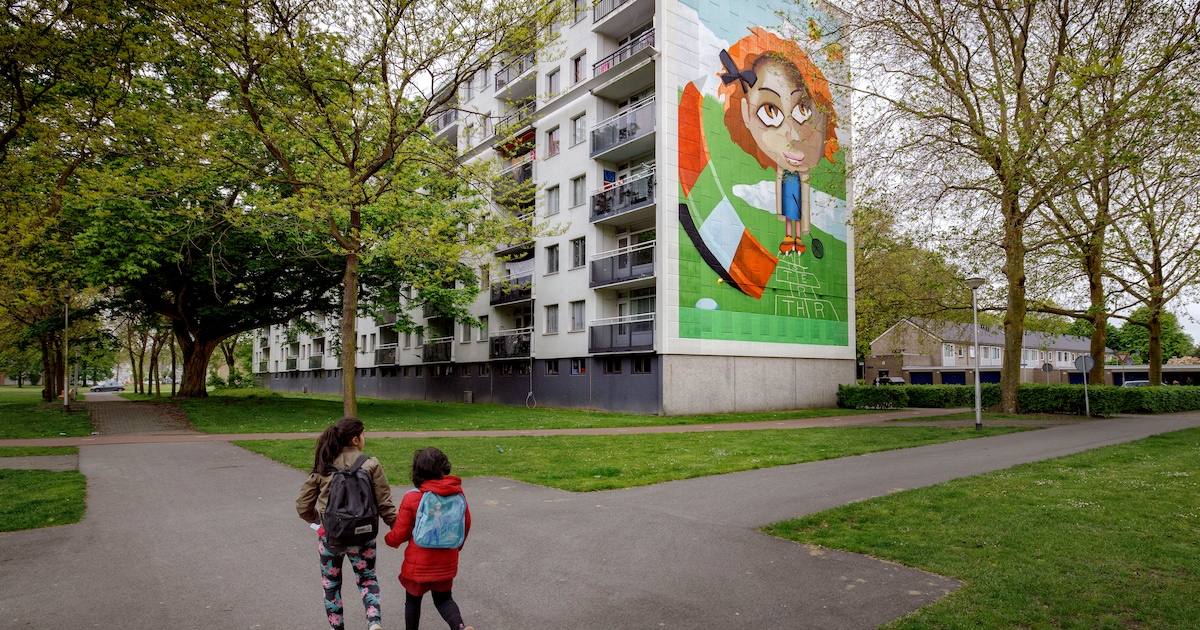 Tilburg-Noord komt samen met nieuw wijkplatform: ‘Beste manier om met elkaar te praten’ | Foto